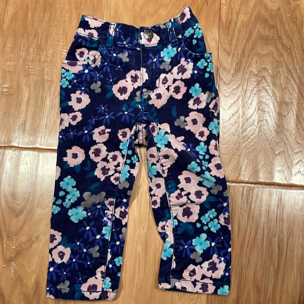 Crazy 8 corduroy floral pants